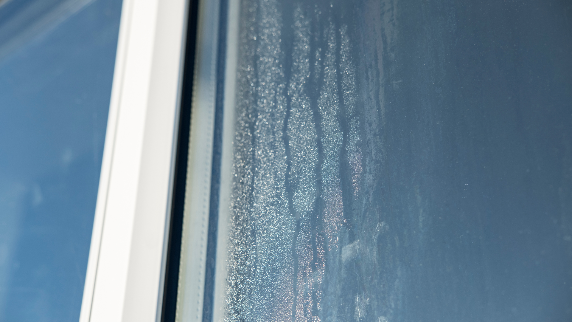 stock:misted-glass-unit-replacement